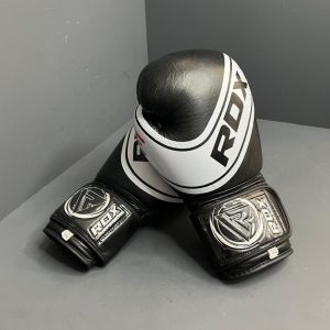 دستکش بوکس ROX